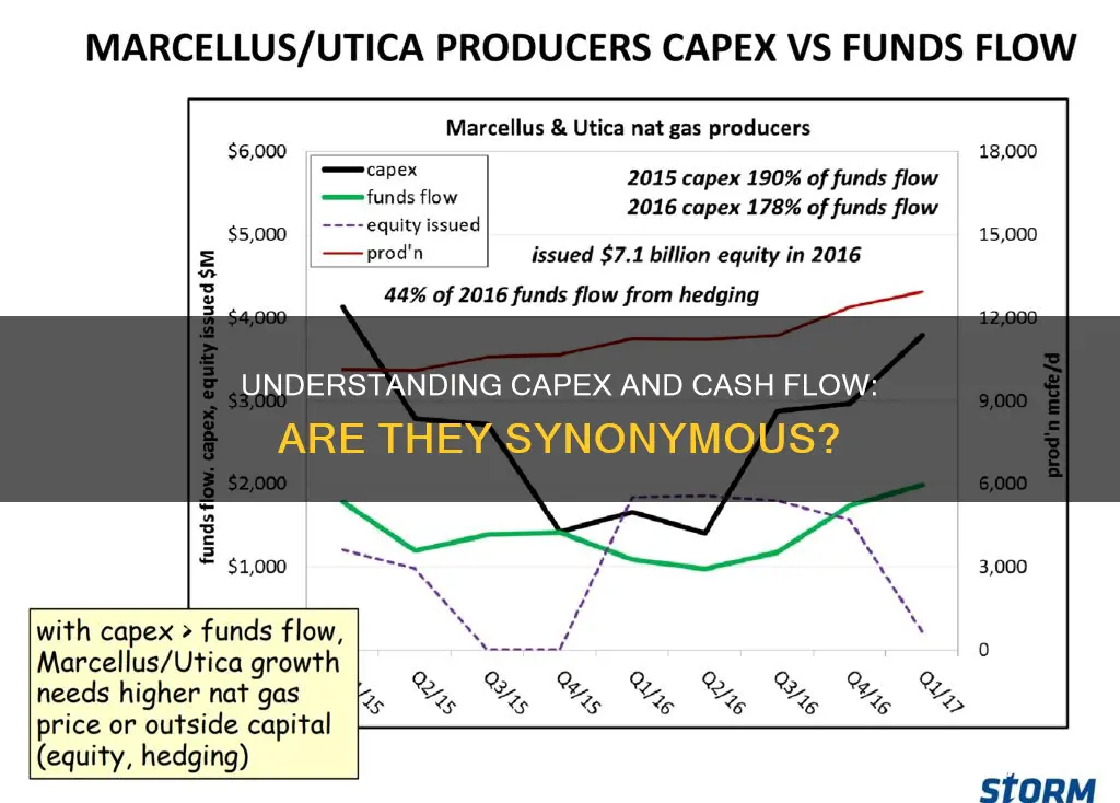 is capex the same as cash flow from investing