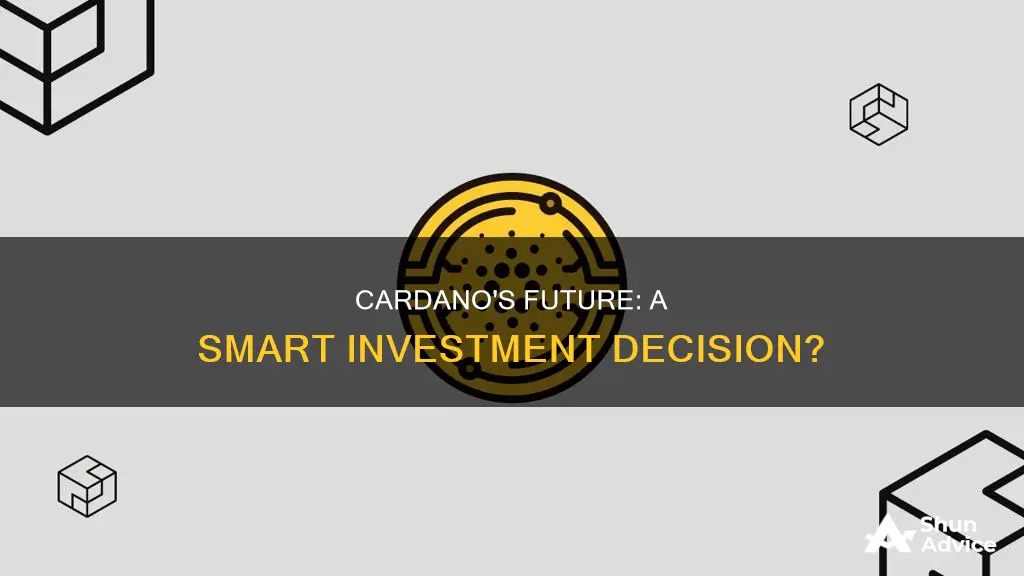 is cardano a good coin to invest in