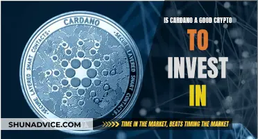 Cardano Crypto: Worth Investing or Just Another Bubble?