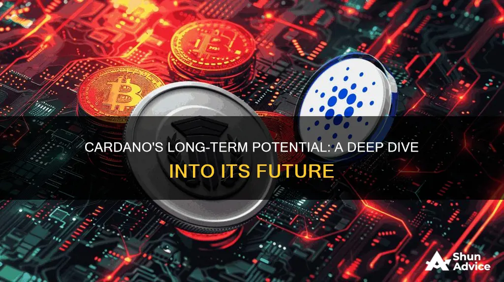 is cardano a long term investment