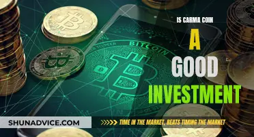 Carmal Coin: A Smart Investment Decision?