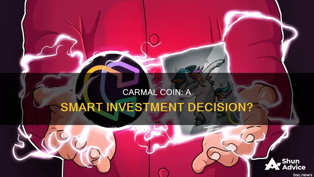 is carma coin a good investment