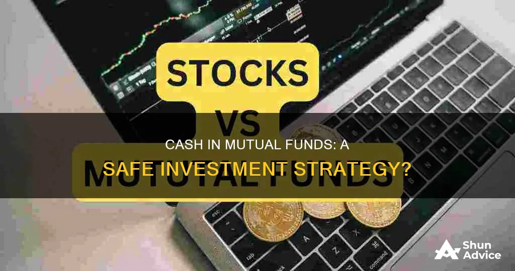 is cash a safe investment in a mutual fund