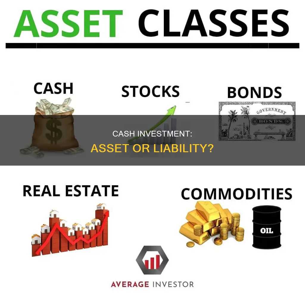 is cash investment an asset