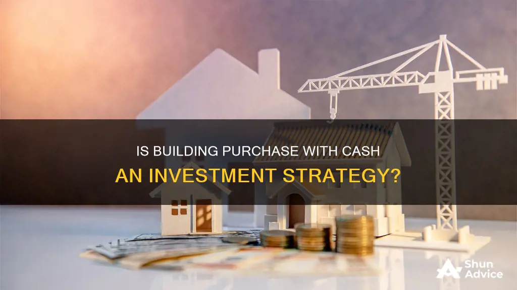 is cash paid to purchase new building an investment activity