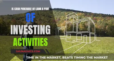 Land Cash Purchase: An Investment Activity?