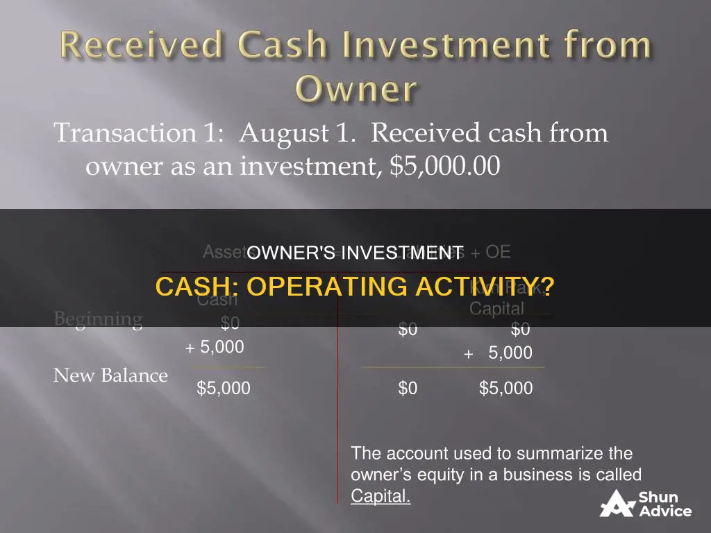 is cash received from owner