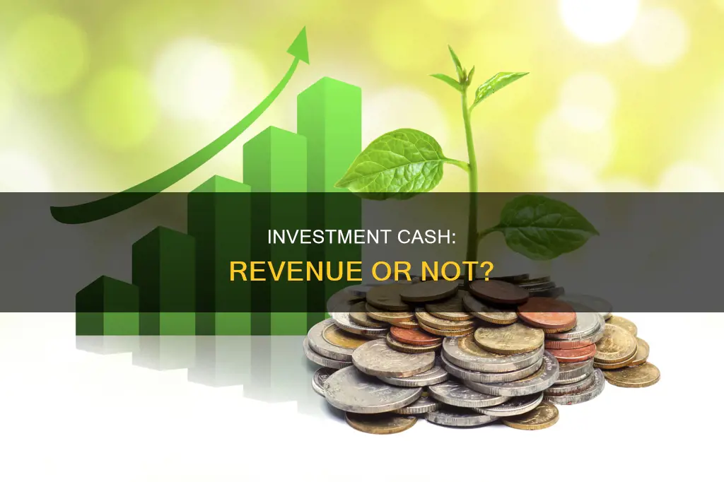 is cash recieved off investment considered revenue