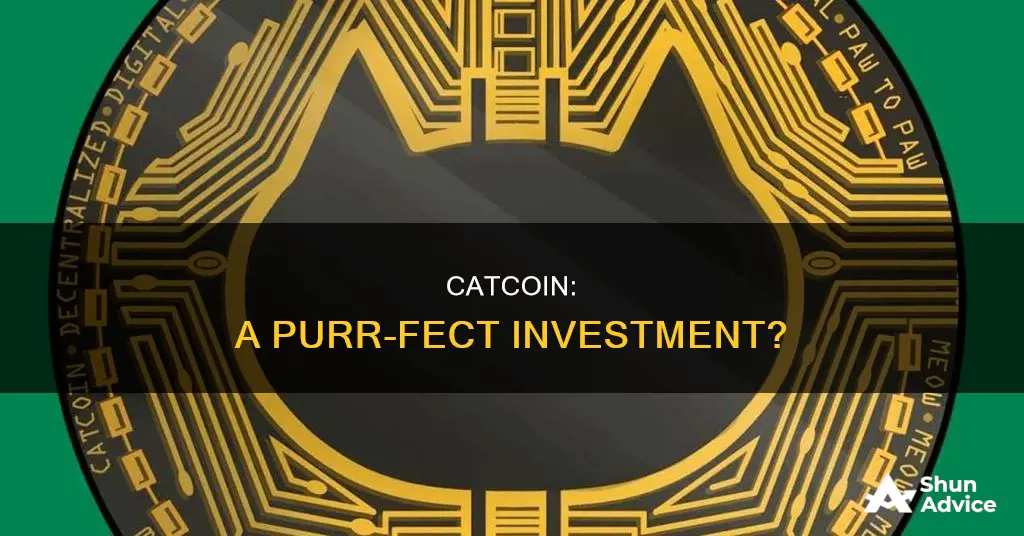 is catcoin a good investment