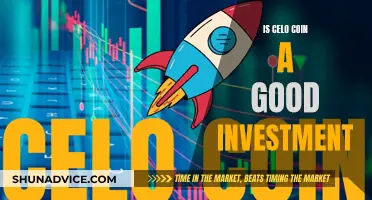 Celo Coin: A Smart Investment Decision?