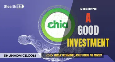 Chia Crypto: A Smart Investment Decision or Not?