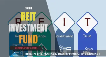 Cion REIT: A Smart Investment Fund Move?