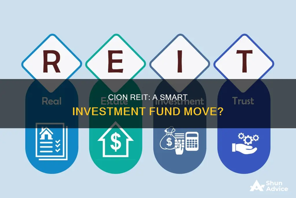 is cion reit investment fund