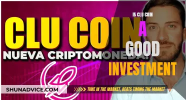 Clu Coin: A Smart Investment Decision?