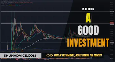 Clucoin Investment: Is It a Good Bet?