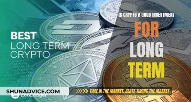 Crypto's Long-Term Investment Potential: Worth the Risk?