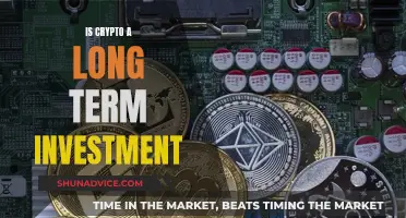 Crypto's Future: Long-Term Investment or Risky Gamble?