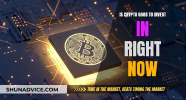 Crypto Investment: Good or Bad Idea Right Now?