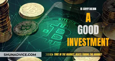 Cryptocoin Investment: Worthwhile or Risky Venture?