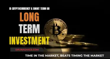 Cryptocurrency: Long-Term Investment or Short-Term Gain?