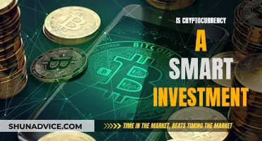 Cryptocurrency Investment: Smart Move or Risky Gamble?