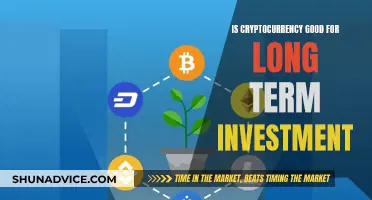 Cryptocurrency: Long-Term Investment Prospects and Challenges