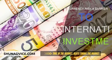 Currency Risk: A Barrier to International Investment?