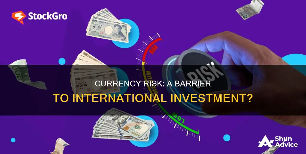 is currency risk a barrier to international investment