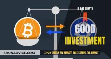 Dag Crypto: A Worthy Investment?