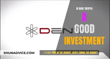 Dent Crypto: Smart Investment or Risky Gamble?