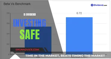 Dividend Investing: A Safe Strategy for Long-Term Wealth?