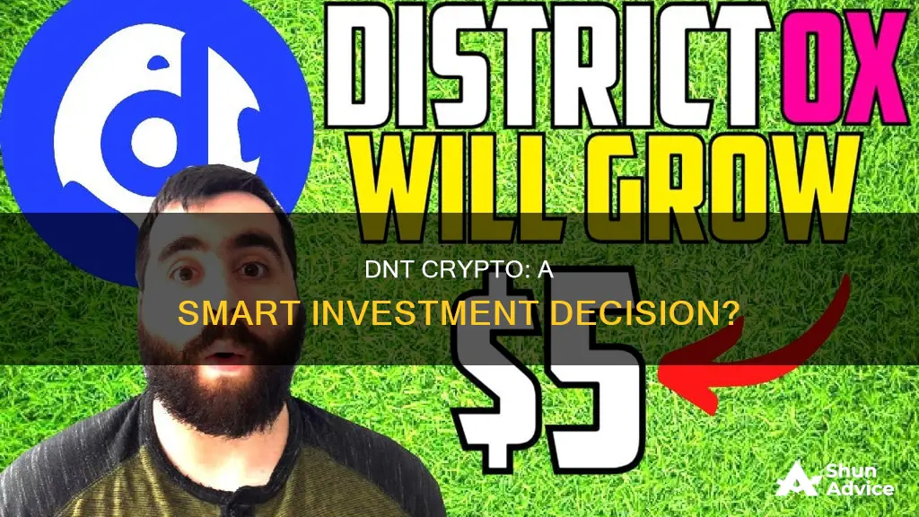 is dnt crypto a good investment