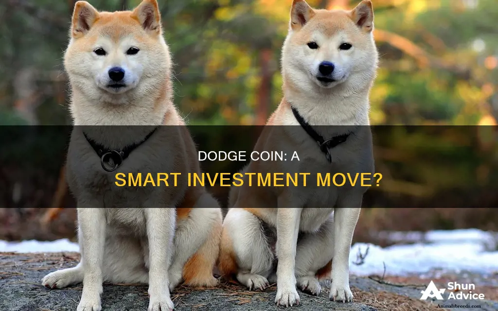 is dodge coin a good investment