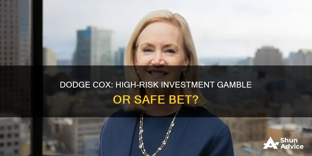 is dodge cox a high risk investment