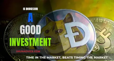 Dogecoin Investment: A Good or Bad Bet?