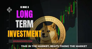 Doge's Long-Term Potential: A Crypto Investment Strategy