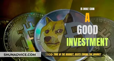 Dogecoin Investment: Worthwhile or Worthless?