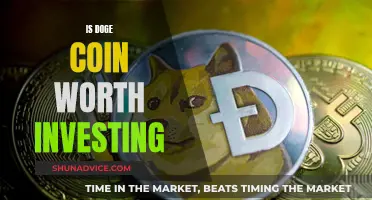 Doge Coin: Worth the Investment Risk?