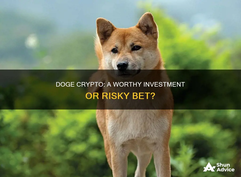 is doge crypto a good investment