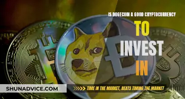 Dogecoin: A Smart Cryptocurrency Investment?