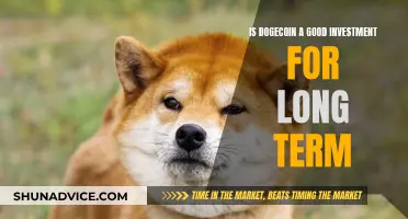 Dogecoin: A Long-Term Investment Worth Your Money?