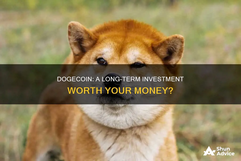 is dogecoin a good investment for long term