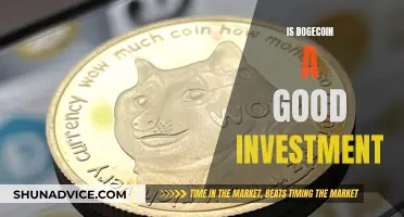 Dogecoin Investment: Good or Bad Move?