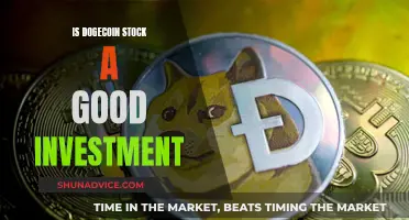 Dogecoin Stock: A Worthwhile Investment?