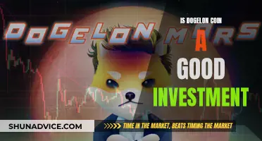 Dogelon Coin: A Good Investment or Just Hype?