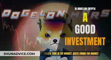 Dogelon Crypto: Is It a Good Investment Option?