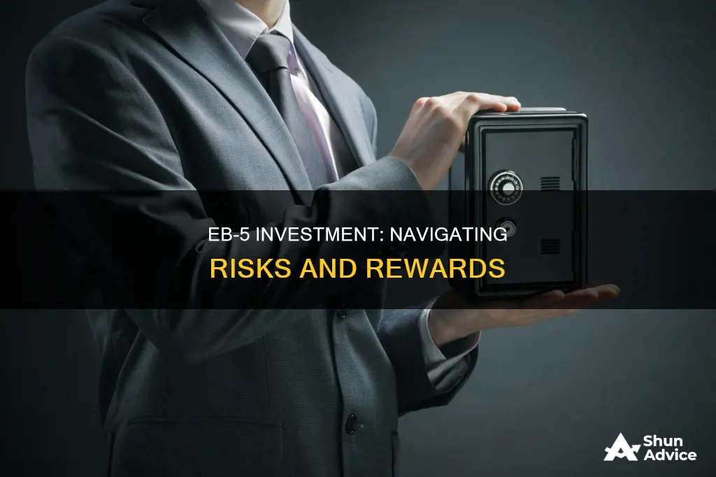 is eb 5 investment safe