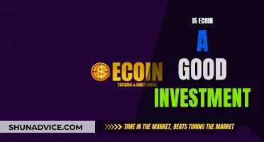 Ecoin: A Worthy Investment or Just Another Crypto?