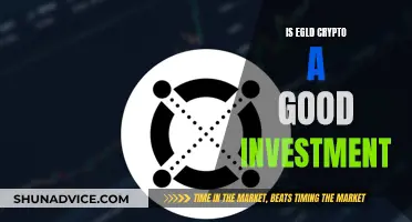 EGLD Crypto: Is It a Smart Investment Decision?