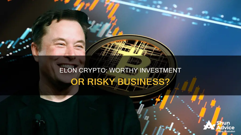 is elon crypto a good investment